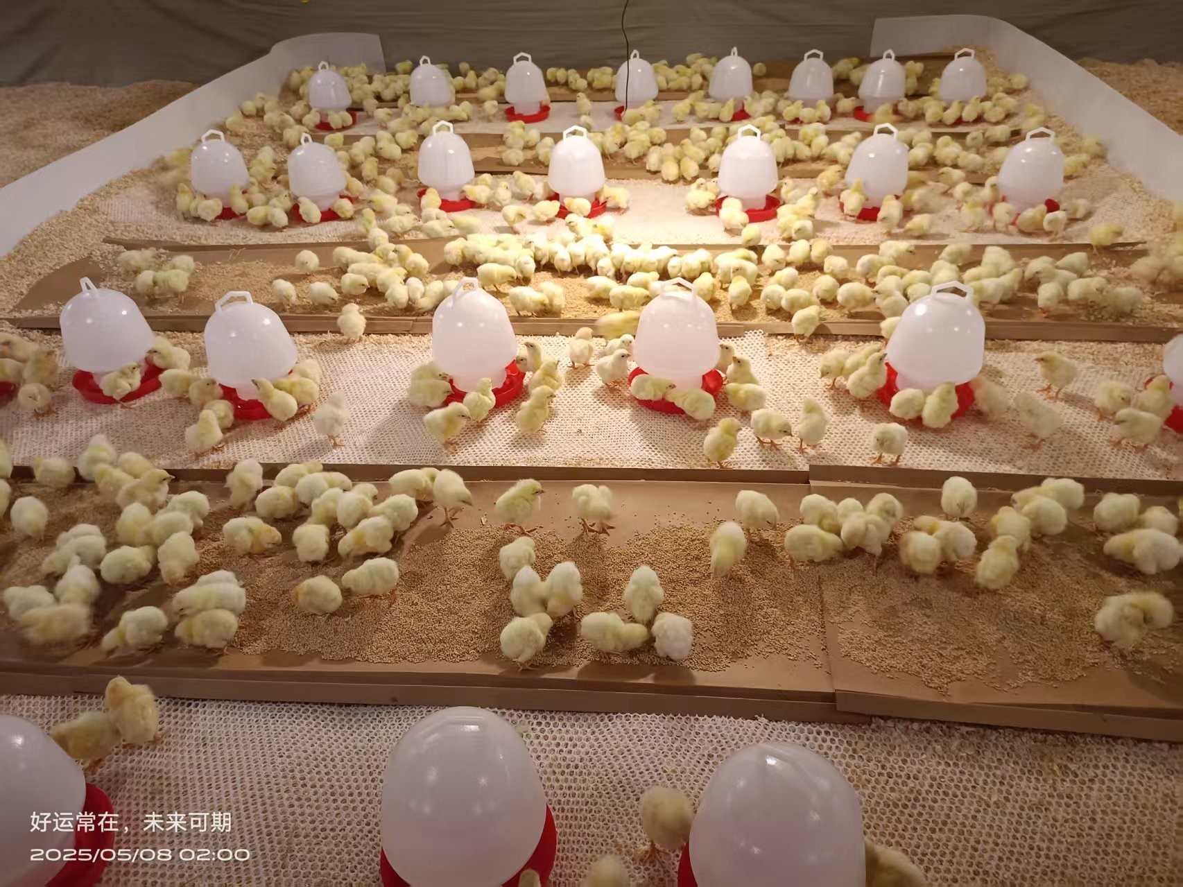 ��ϲѶ���ǹ��ɶ� - �����ʵ���Ϸ��Ӫ�̹����ɷݰ����⼦����������� ��Դս�����ι�ҵ����