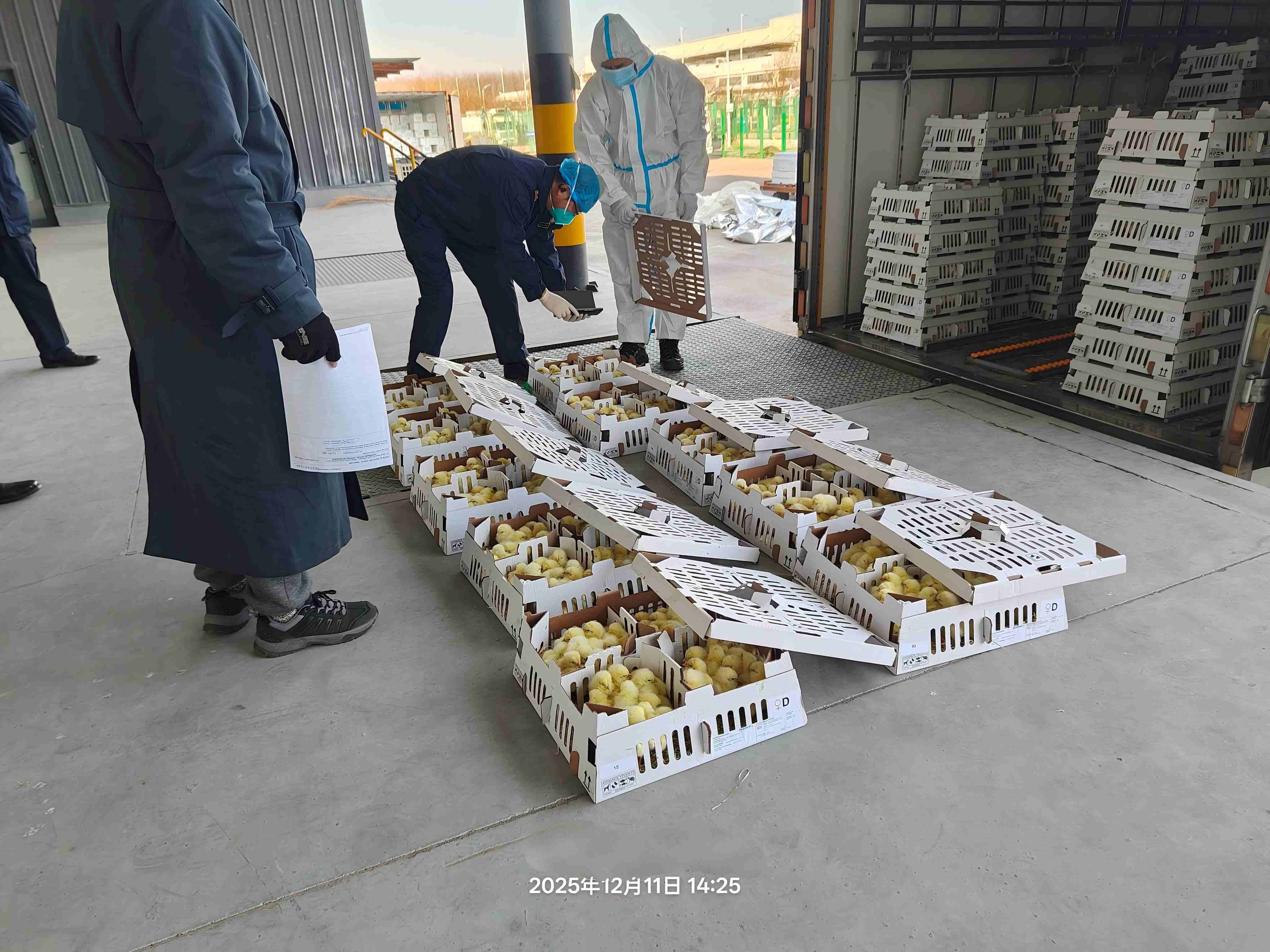 ��ϲѶ���ǹ��ɶ� - �����ʵ���Ϸ��Ӫ�̹����ɷ��������Բ���չ������������������ۼ��������ߴ�26.6����